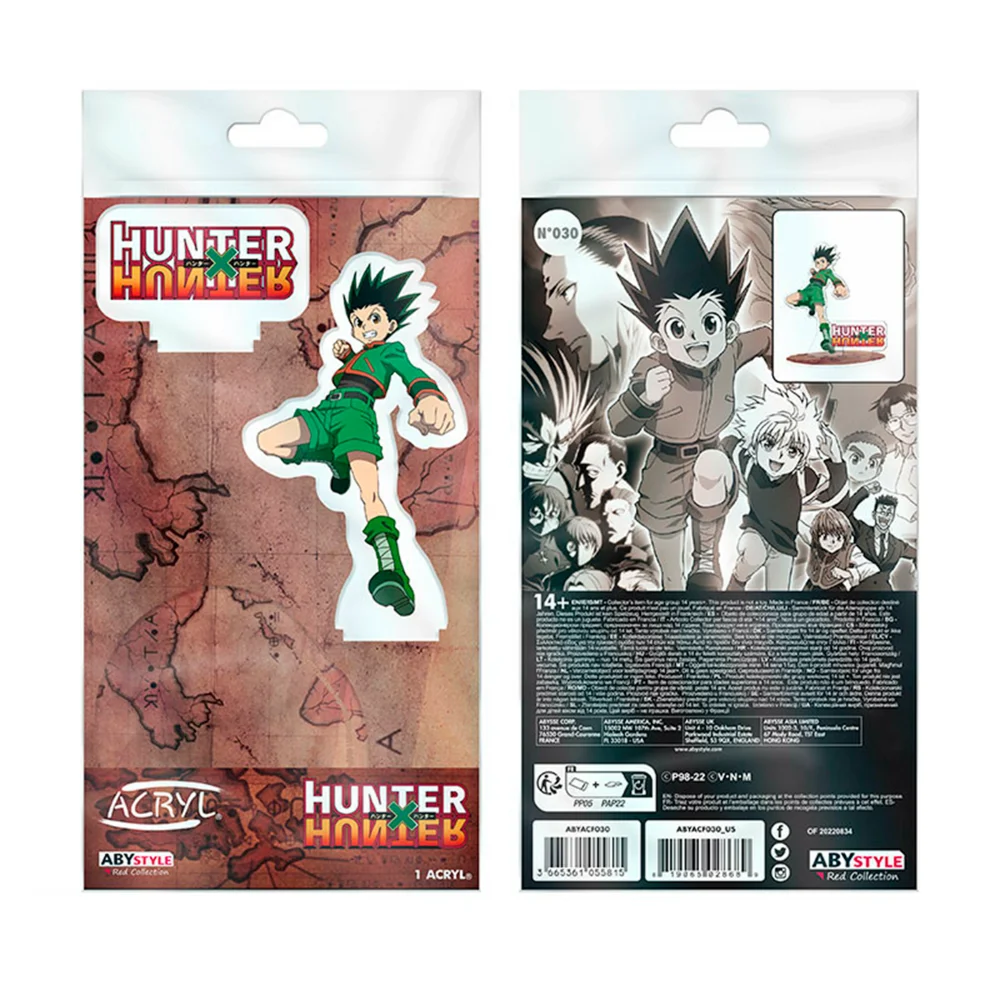 HUNTER X HUNTER - FIGURA ACRÍLICA GON FREECS - Imagen 2