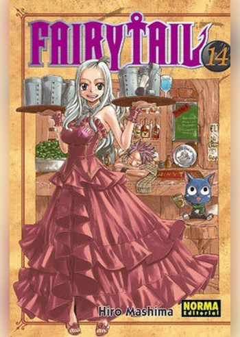 FAIRY TAIL 14