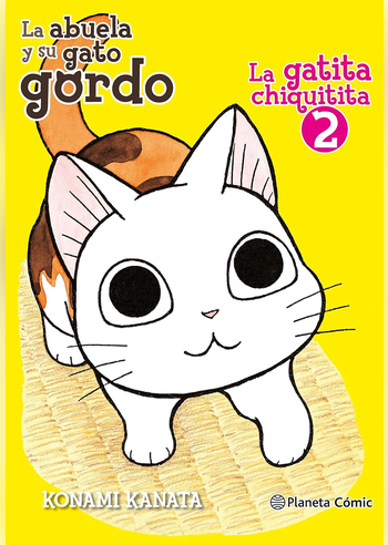 LA ABUELA Y SU GATO GORDO: LA GATITA CHIQUITITA 02
