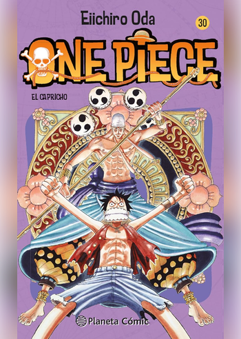 ONE PIECE 030