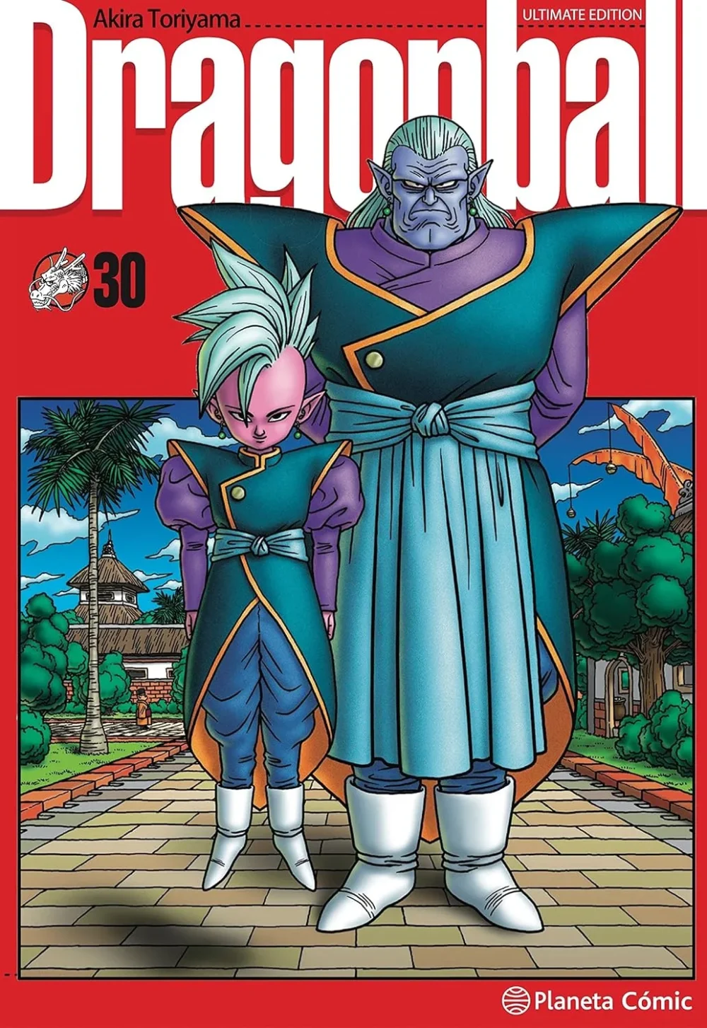 DRAGON BALL ULTIMATE EDITION 30