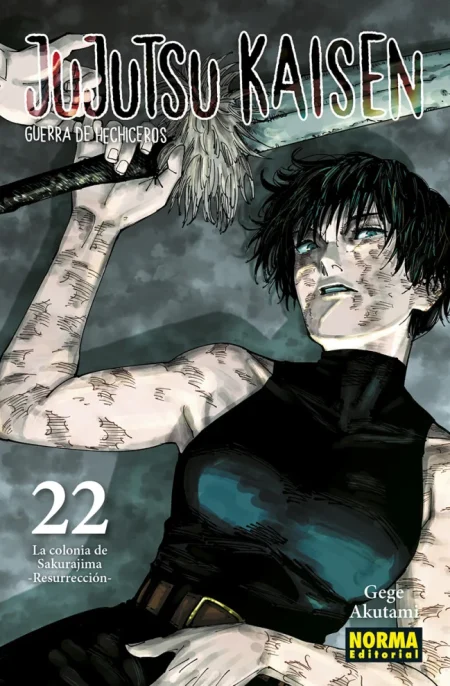JUJUTSU KAISEN EN CATALÀ 22