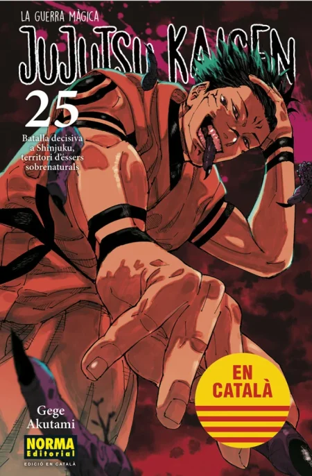 JUJUTSU KAISEN EN CATALÀ 25