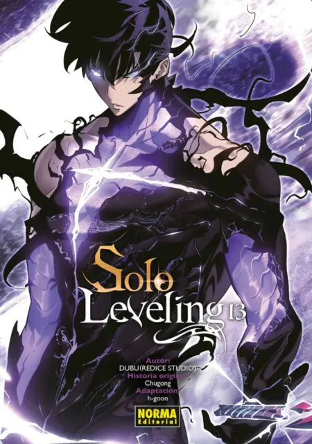 SOLO LEVELING 13