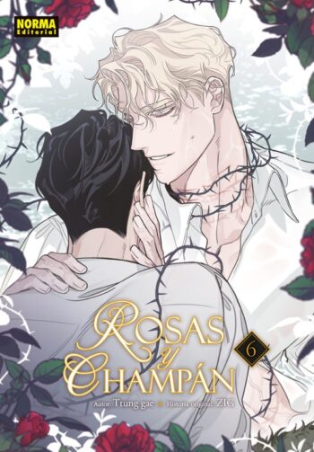 ROSAS Y CHAMPÁN 06
